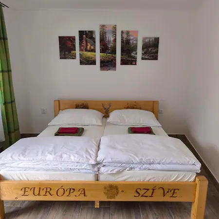 Európa Szíve Appartement Tállya